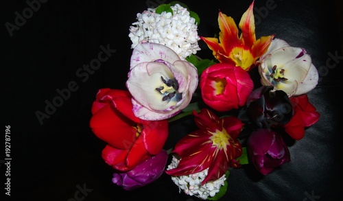 Spring bouquet of Tulips and Snowball flowers with a black background.