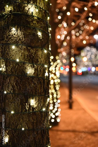 Wallpaper Mural Downtown Fort Collins Torontodigital.ca