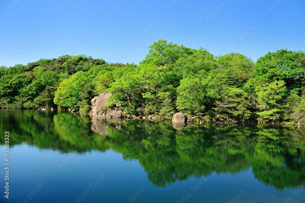 森林の池