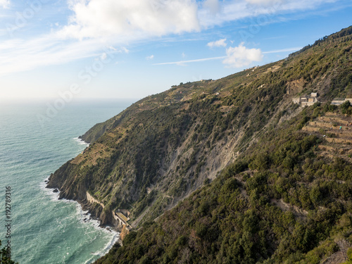 Wallpaper Mural Beautiful landscape with vines on the hillside in the National park of Cinque Terre, Italy. January, 2018 Torontodigital.ca