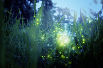 Magical fairy dust potion in bottle in the forest.