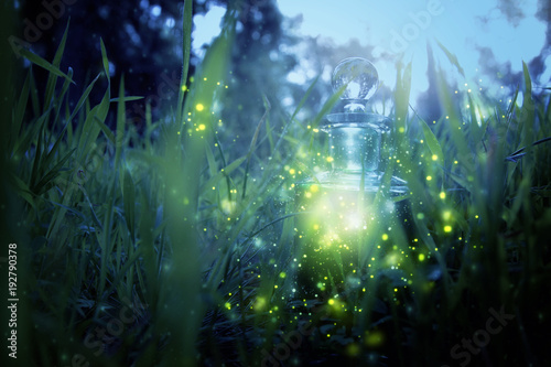 Magical fairy dust potion in bottle in the forest.