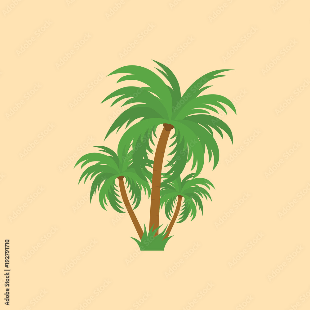 vector illustration of three palm tree. can use for any design nature or tropic topic, flat design, icon tree, palm tree for background