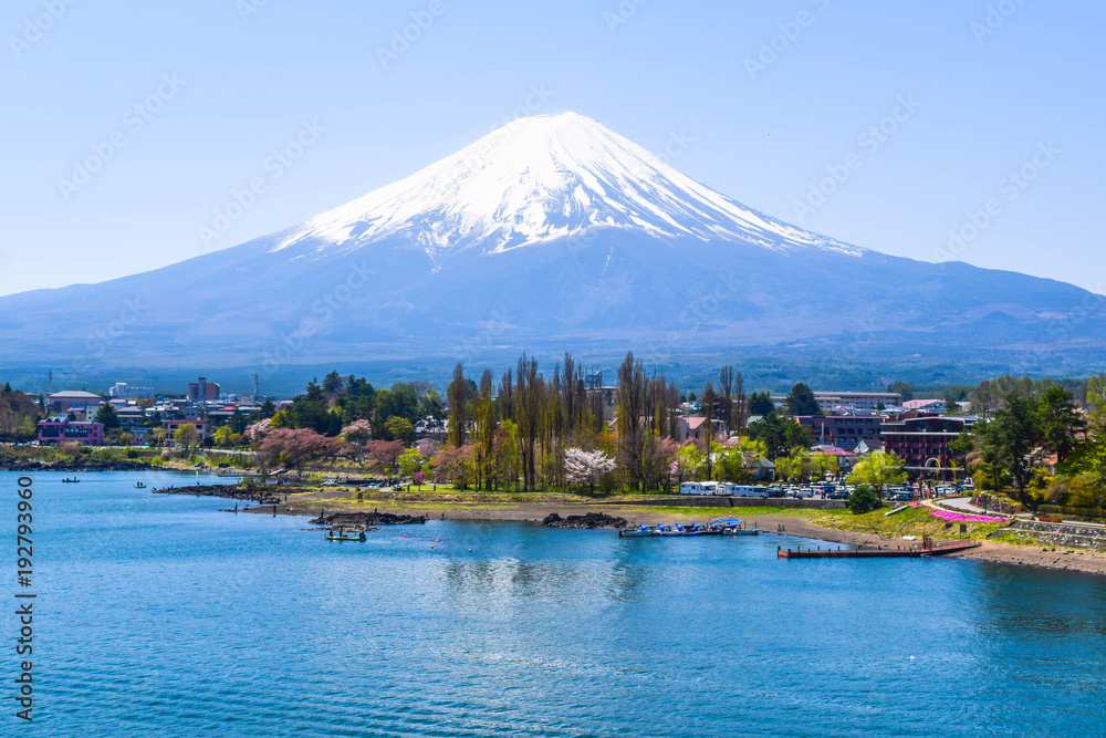Mount Fuji on a Clear Day 