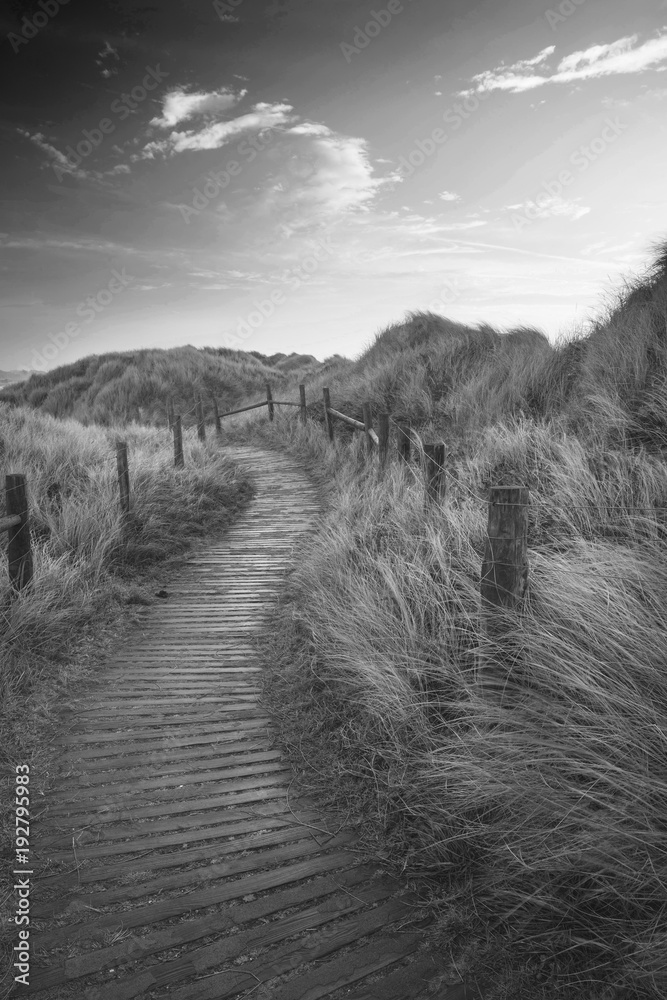 Beautiful black and white sunrise landscape image of sand dunes system over beach with wooden boardwalk
