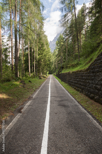 Bike and Walking Footpath among Trees of Italian Alps Mountains