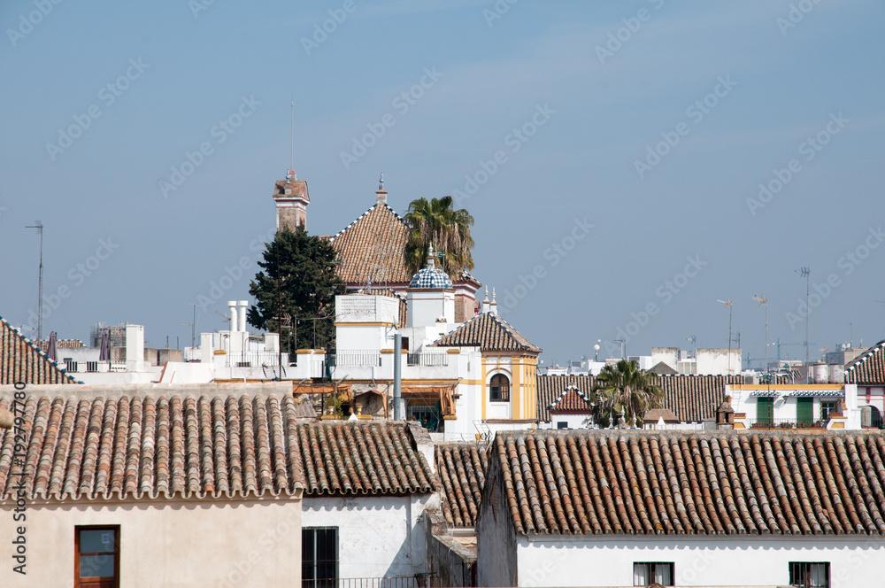 Seville from the rooftops