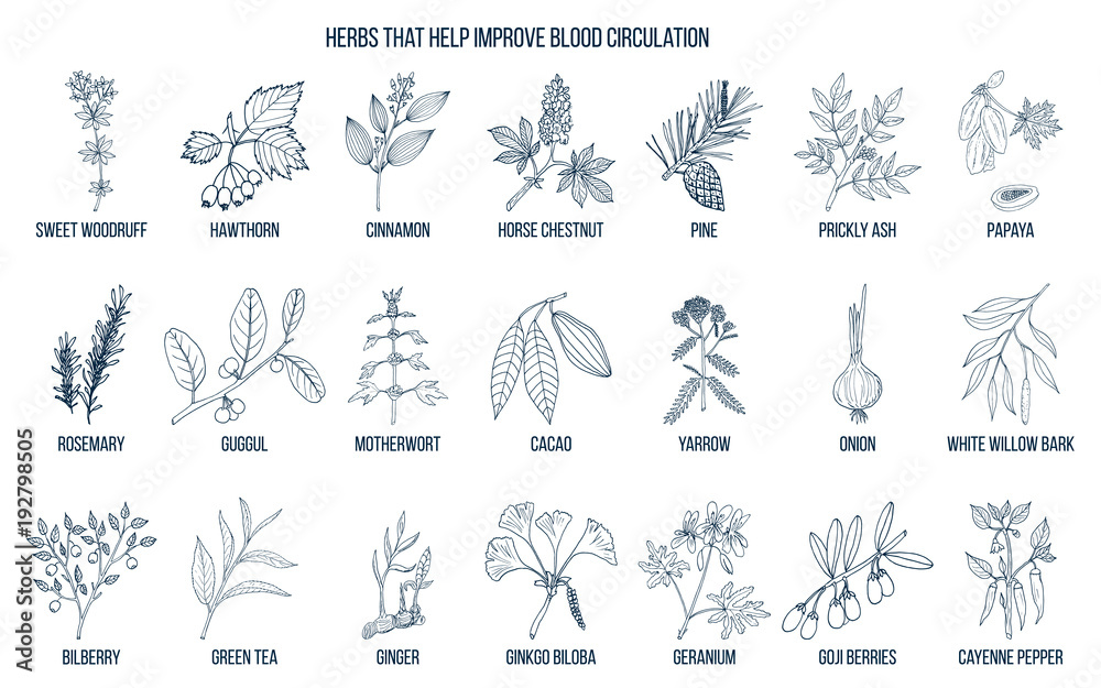 Collection of natural herbs for blood circulation