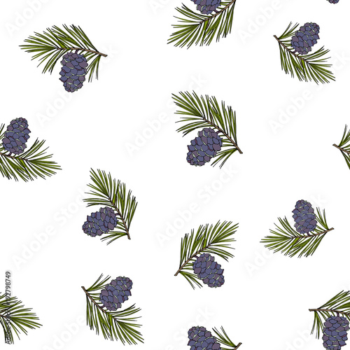Siberian pine cones and branches