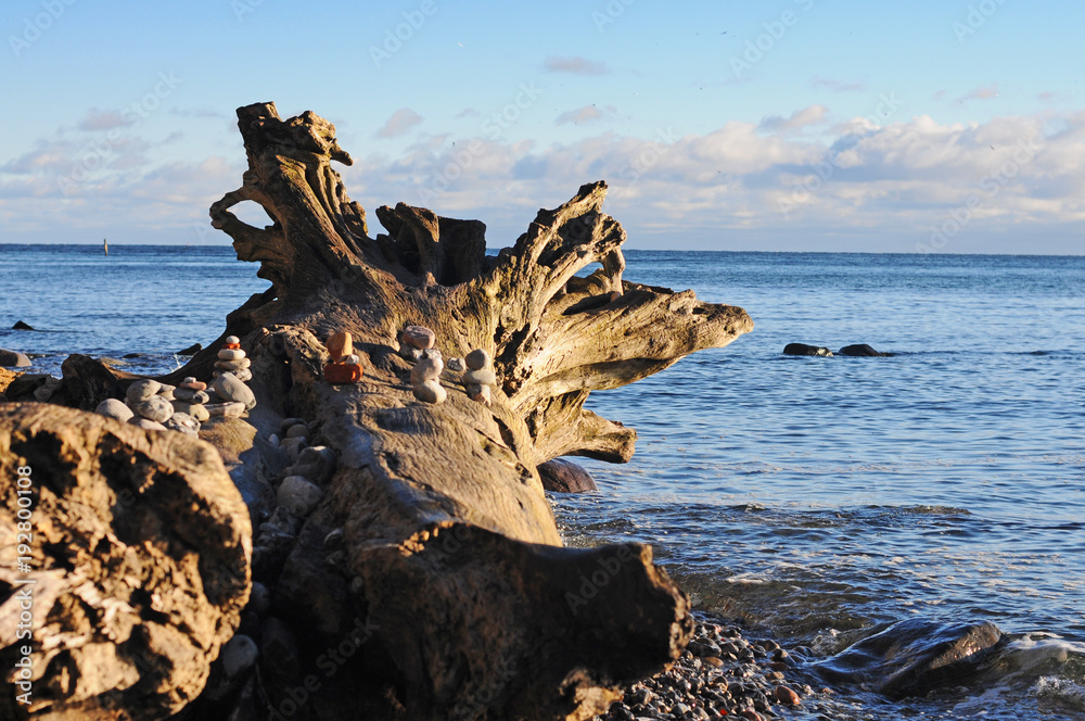 Kieselsteine auf einer Baumwurzel gestapelt auf der Insel Rügen