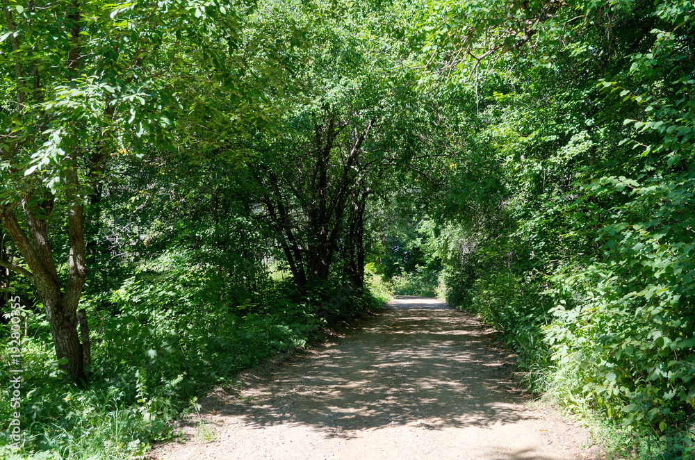 Summer landscape with a shaded path Summer landscape with a shaded path