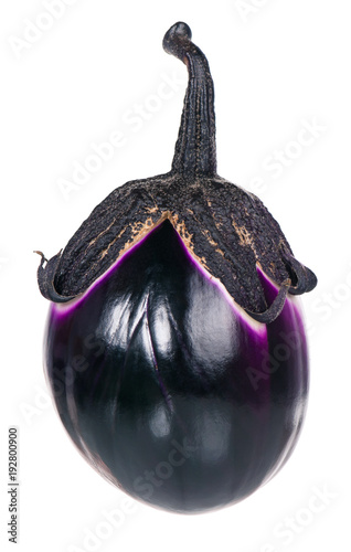 Raw purple aubergine