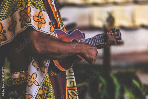 Fotografie, Obraz musicien de ukulele