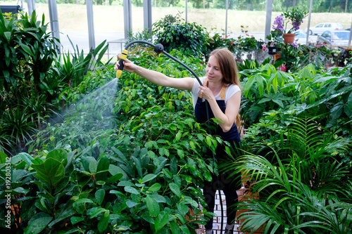 redhead young woman worker in plant market greenhouse pouring plants