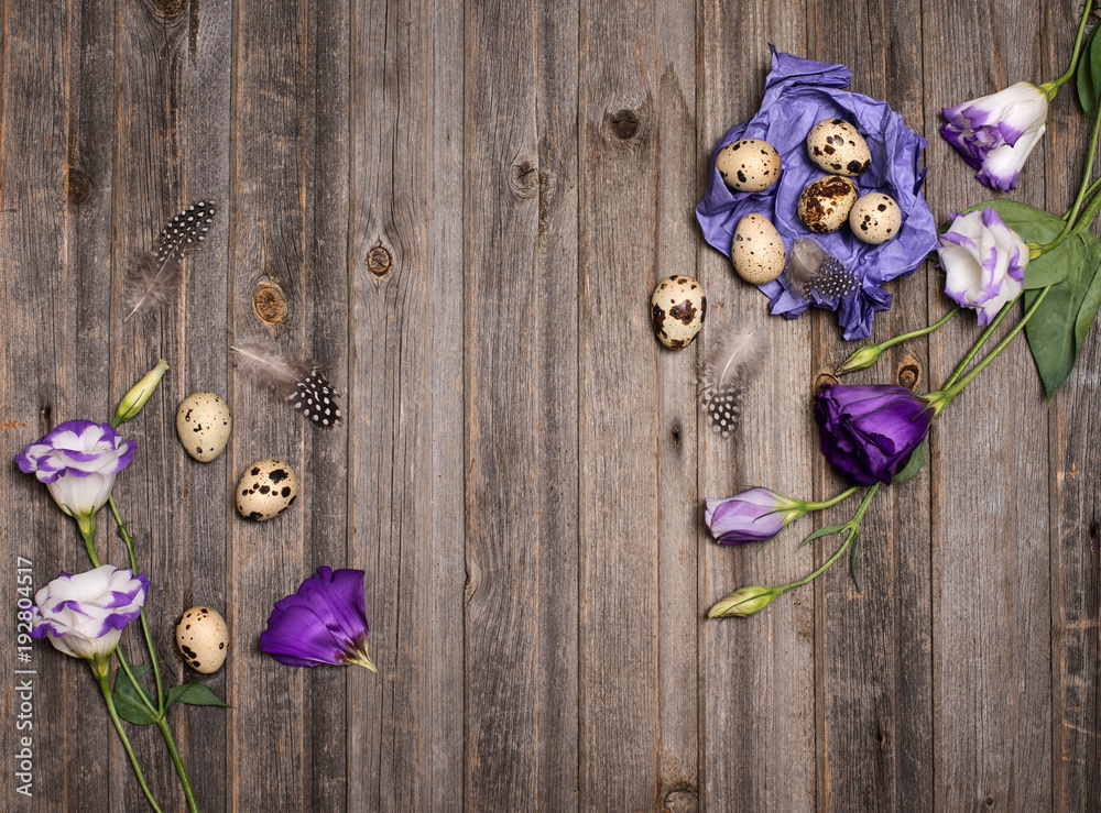 Easter quail eggs with eustoma flowers  and purple craft paper on rustic wooden background. Holiday art design background. Easter.
