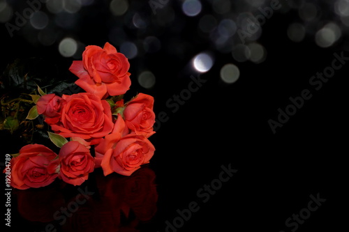 красивая розовая роза на черном фоне с отражением © Valentina A
