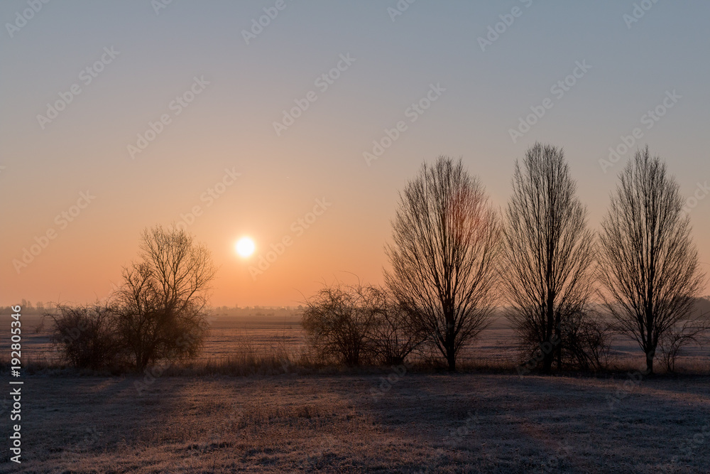 frostiger Sonnenaufgang im Winter blauer Himmel mit Bäumen links und rechts goldene stunde golden hour