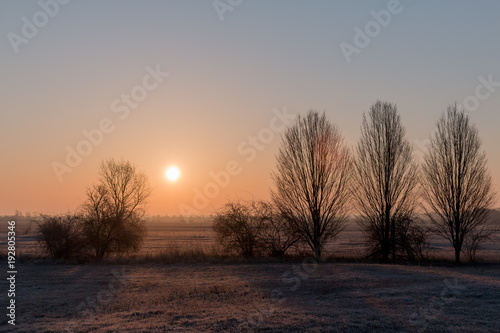 frostiger Sonnenaufgang im Winter blauer Himmel mit Bäumen links und rechts goldene stunde golden hour