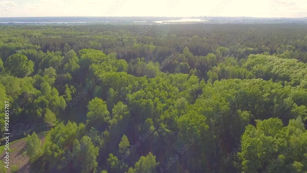 Beautiful panoramic Aerial view on forest. From above. Picture taken using drone. Top view on Trees. Beautiful panoramic Aerial view on forest. From above. Picture taken using drone. Top view on Trees.