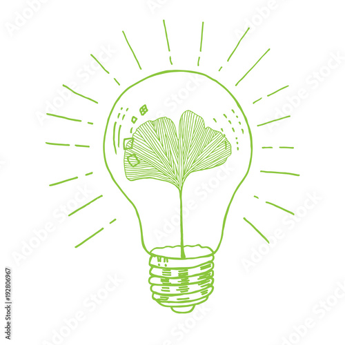 Hand drawn Ecological light bulb ginkgo leaf vector in green colors palette	