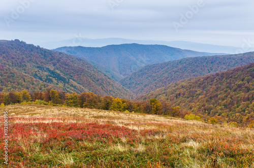 Colorful autumn landscape. Ukrainian Carpathians. Borzhava.