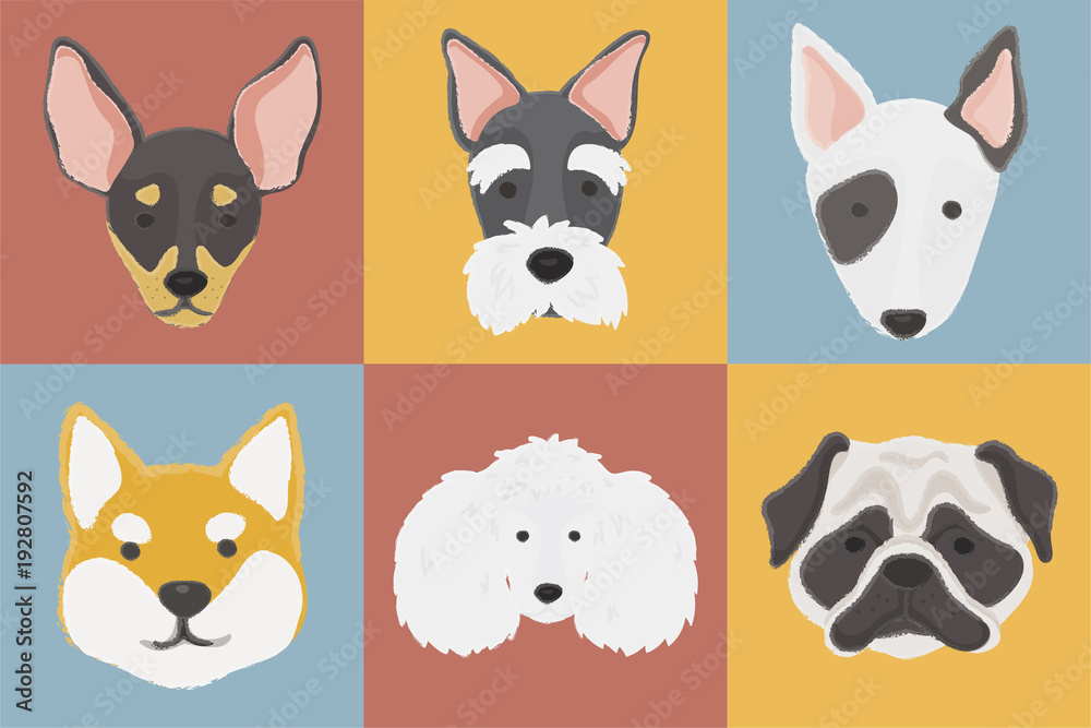 Illustration of dogs collection