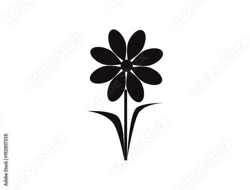 
Design icons vector illustration of a flower (chamomile). 