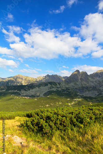 View on mountains on a sunny day in summer, Tatra Mountains, Poland