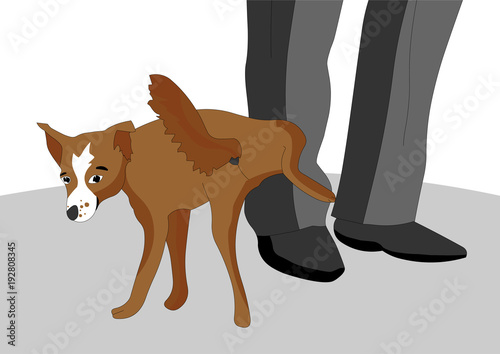 The impudent and disobedient dog decided to pee on the foot of the owner, she has a snide look, vector illustration