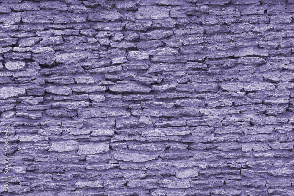Texture of coquina, limestone (ultra violet) Texture of coquina, limestone (ultra violet)