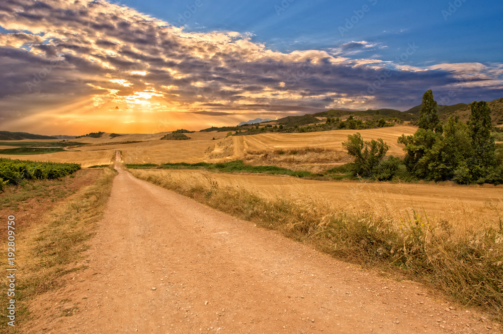 Sunset on the road to Santiago in Navarra