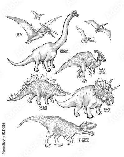 Fototapeta Naklejka Na Ścianę i Meble -  Realistic graphic dinosaurs