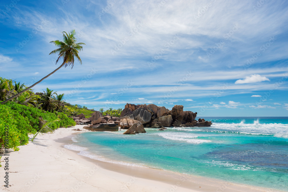 Sandy beach with palm and beautiful rocks in the turquoise sea on Paradise island, Seychelles.