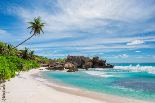 Sandy beach with palm and beautiful rocks in the turquoise sea on Paradise island  Seychelles.