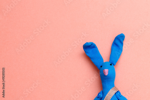 funny cool rabbit on pink background