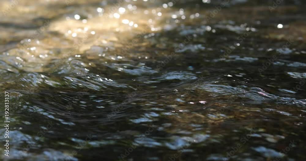 stream of river water in nature, close-up stream of river water in nature, close-up