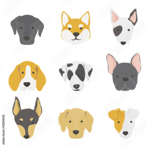 Illustration of dogs collection