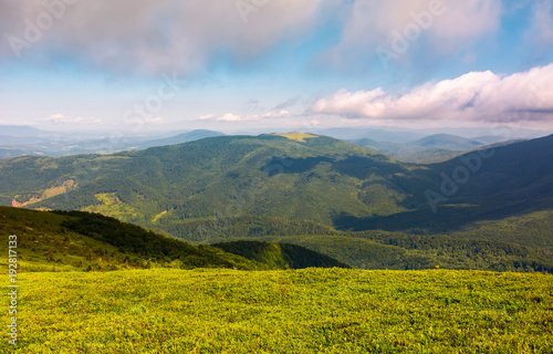 grassy meadow on hillside on a cloudy day. beautiful mountainous landscape in summertime. location Runa mountain  Ukraine