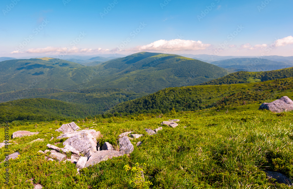 boulders on the hillside. mountain summer landscape. meadow with huge stones among the grass on top of the hill