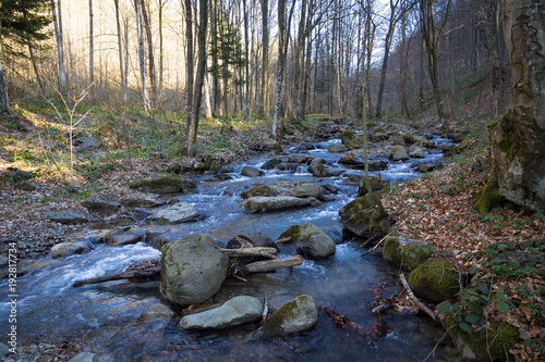 Spring streams of the mountain river, which is located in the forest area in the territory of western Ukraine