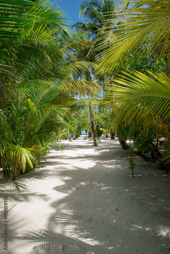 Obraz premium Tropical beach