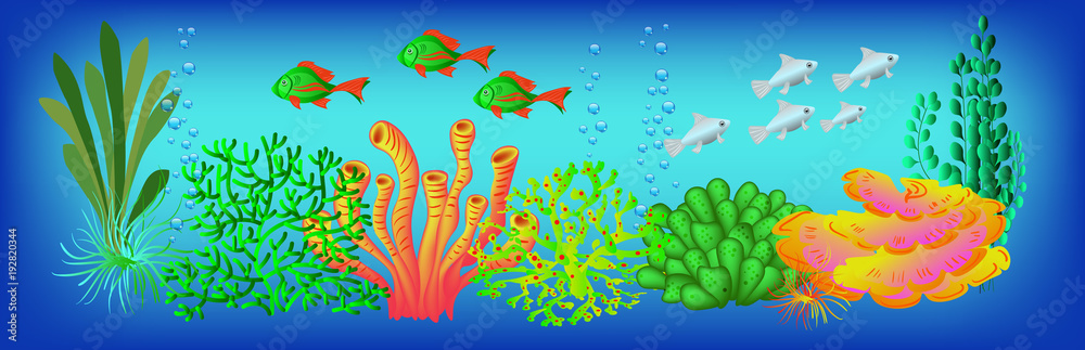 Underwater background, vector illustration for design and banners