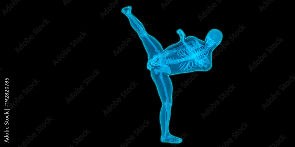 Obraz premium Very detailed and medically accurate 3D illustration of a kicking guy.