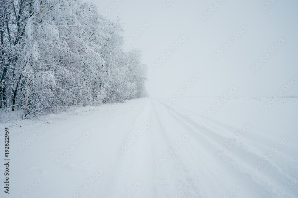 Obraz premium cold, snowy winters