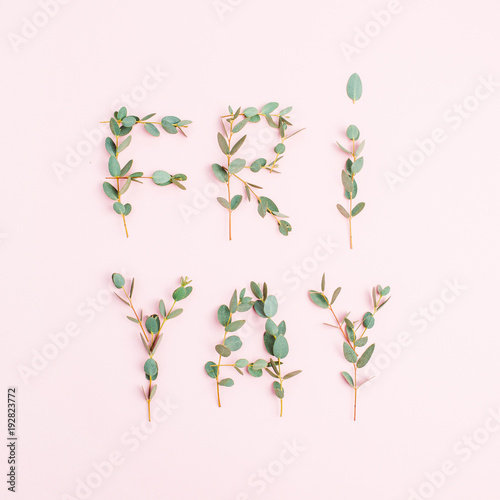Urban word Friyay. The last day of the work week concept made of eucalyptus branch on white background. Flat lay, top view Friday composition.