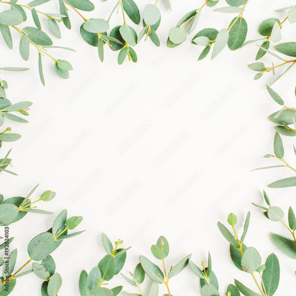 Frame of eucalyptus branch pattern with space for text on white background. Flat lay, top view hero header concept.