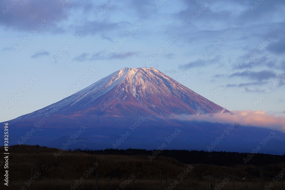 Fototapeta premium 富士山 