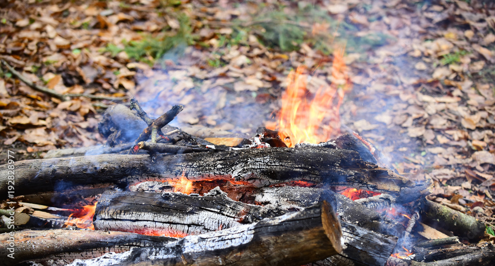Bonfire or fire in the forest, picnic, barbecue. Bonfire or fire in the forest, picnic, barbecue.