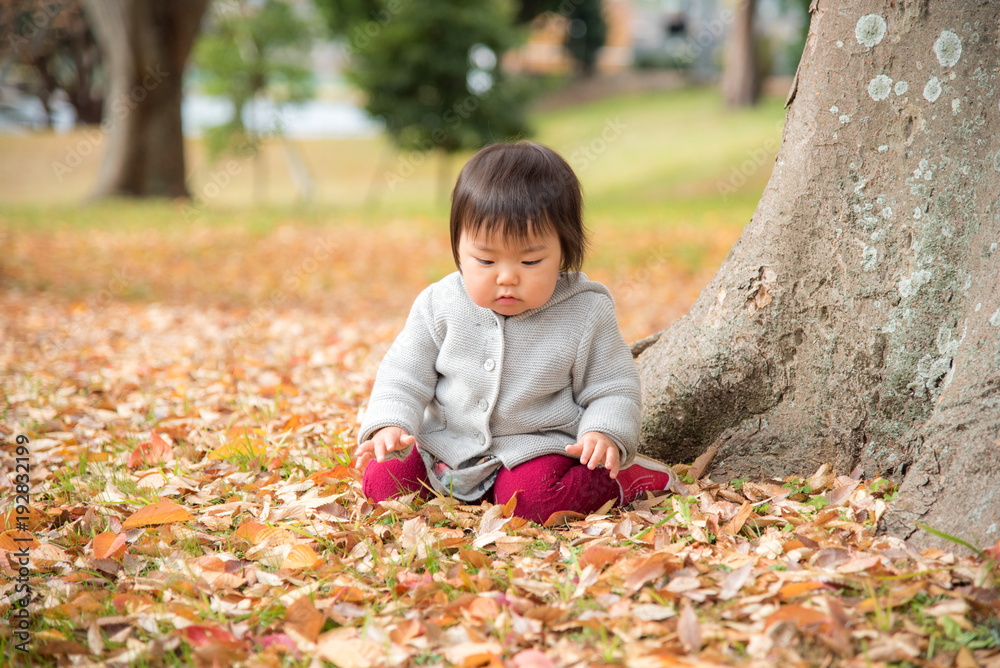 公園で遊ぶ赤ちゃん 公園で遊ぶ赤ちゃん