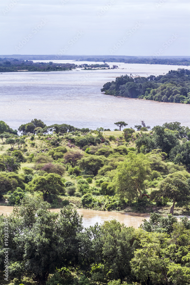 Limpopo river in Mapungubwe National park, South Africa
